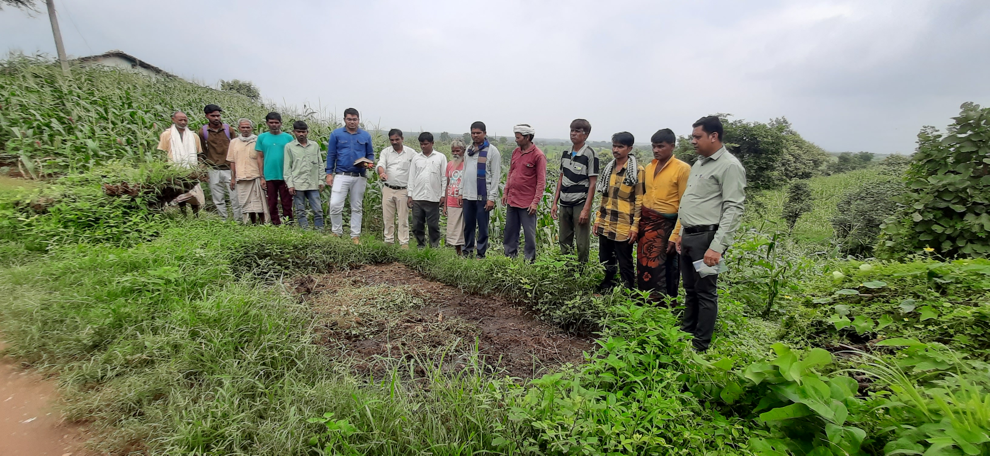 Field Inspection